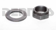 8812 Chevy 12 Bolt PINION NUT and WASHER Set 
