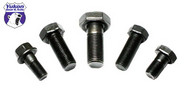 Yukon YSPBLT-002 Ring gear bolt for C200F front and '05 7 up Chrysler 8.25" rear.